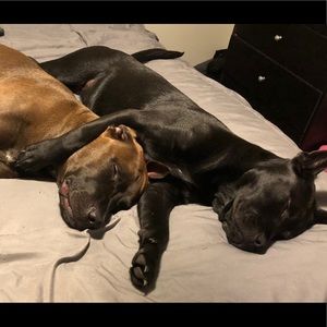 Meet your Posher, Anita